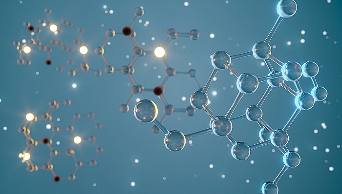 生物科学  探索生命的奥秘_志愿有途，高考志愿填报服务平台，新高考选科填报指南，高考查分，大学专业排名，生涯规划